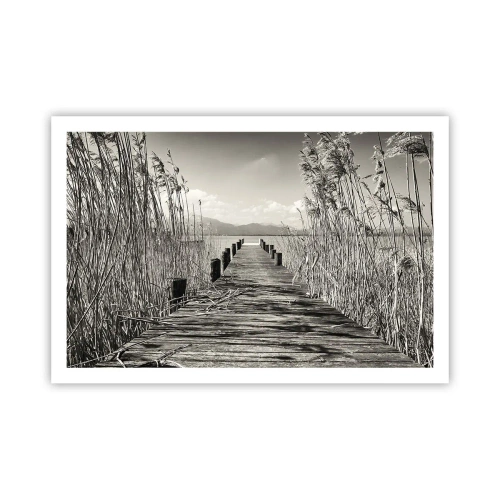 Poster - În intimitatea ierburilor - 91x61 cm