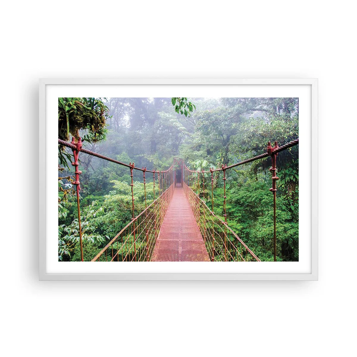 Poster în ramă albă - Suspendat deasupra coroanelor arborilor - 70x50 cm