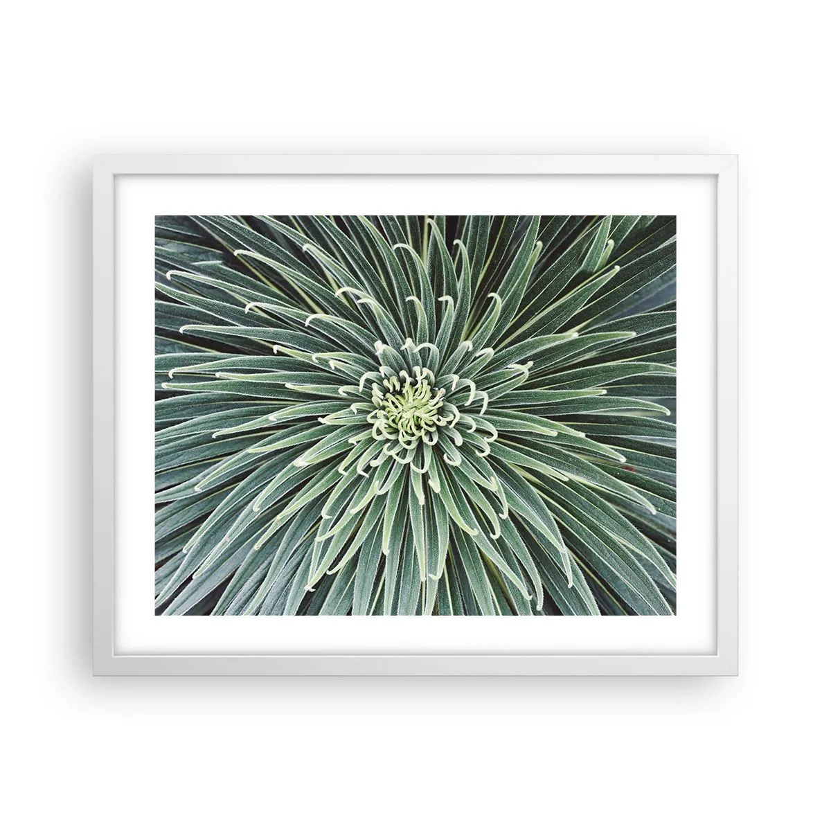 Poster în ramă albă - Nașterea unei stele - 50x40 cm