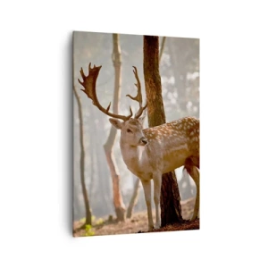 Tablou pe pânză - Lumina tinereții - 70x100 cm