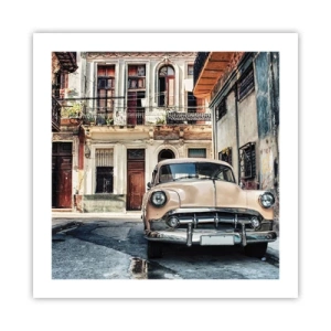 Poster - O siestă în Havana - 50x50 cm