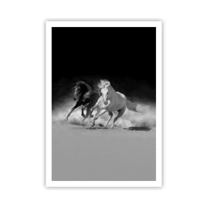 Poster - Galopul libertății - 70x100 cm