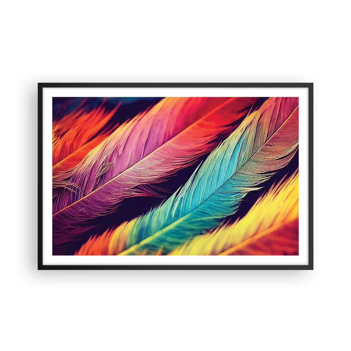 Poster în ramă neagră - Curcubeu cu pene - 91x61 cm