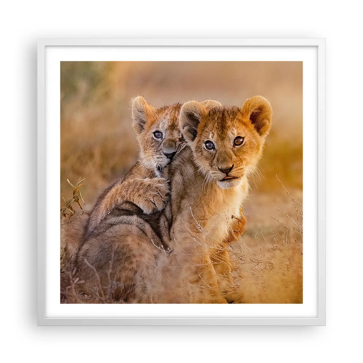 Poster în ramă albă - Nu deranjați! Ne distrăm - 60x60 cm