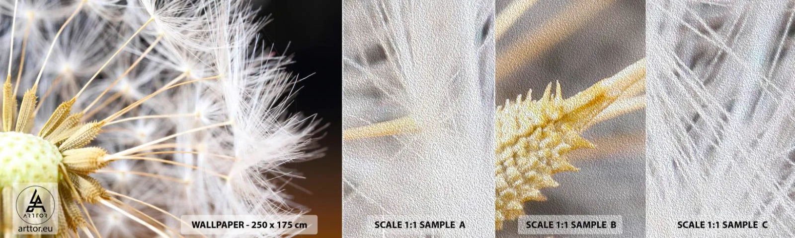 Mostră tapet Premium Sand - Chiar înainte de zbor... - Floare, Plantă, Natură - 100x30 cm