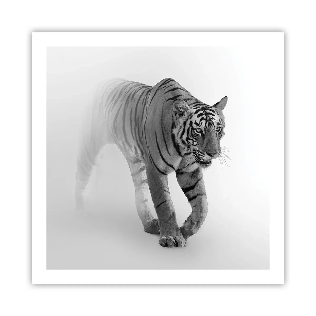 Poster - De veghe în ceață - 60x60 cm