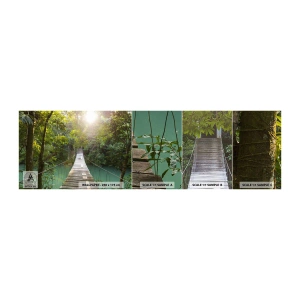 Mostră tapet autocolant Deluxe Sticker - Peste apa de azur spre pădurea de azur - Peisaj, Junglă, Pod de lemn - 100x30 cm