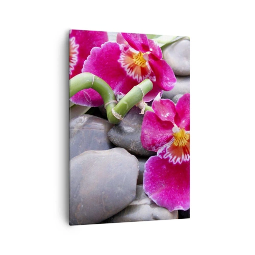 Tablou pe pânză - Frig și căldură - 70x100 cm