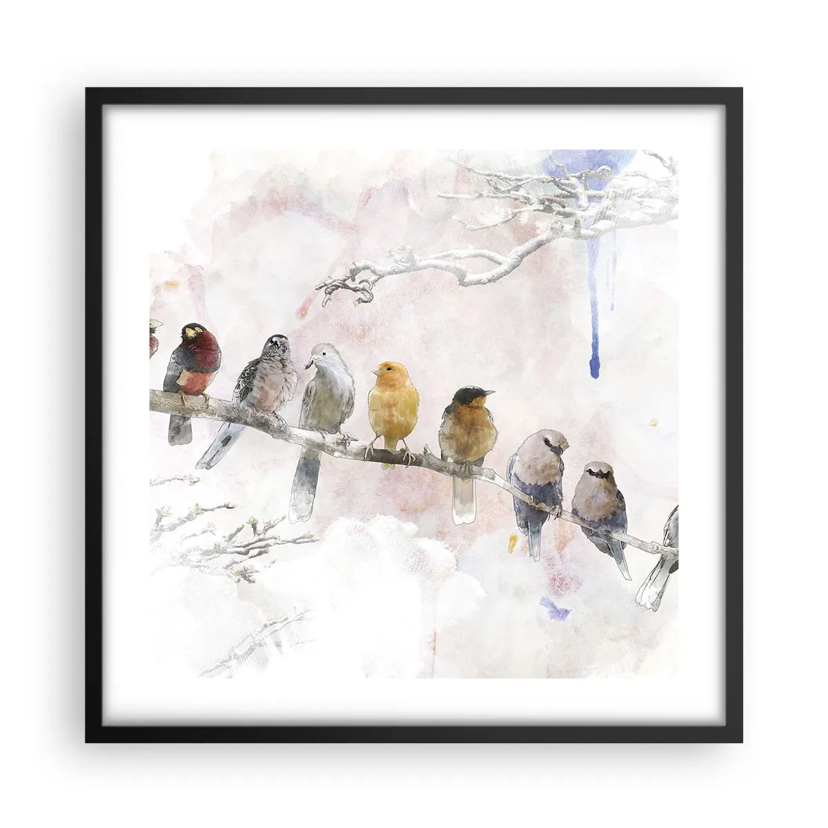Poster în ramă neagră - Întâlnire înaripată - 50x50 cm
