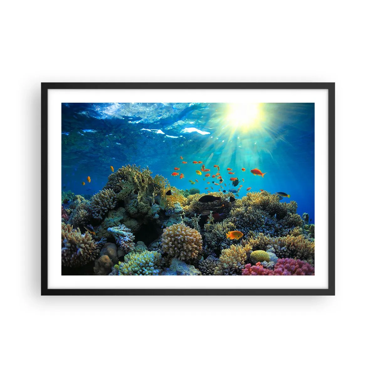 Poster în ramă neagră - Comori subacvatice - 70x50 cm