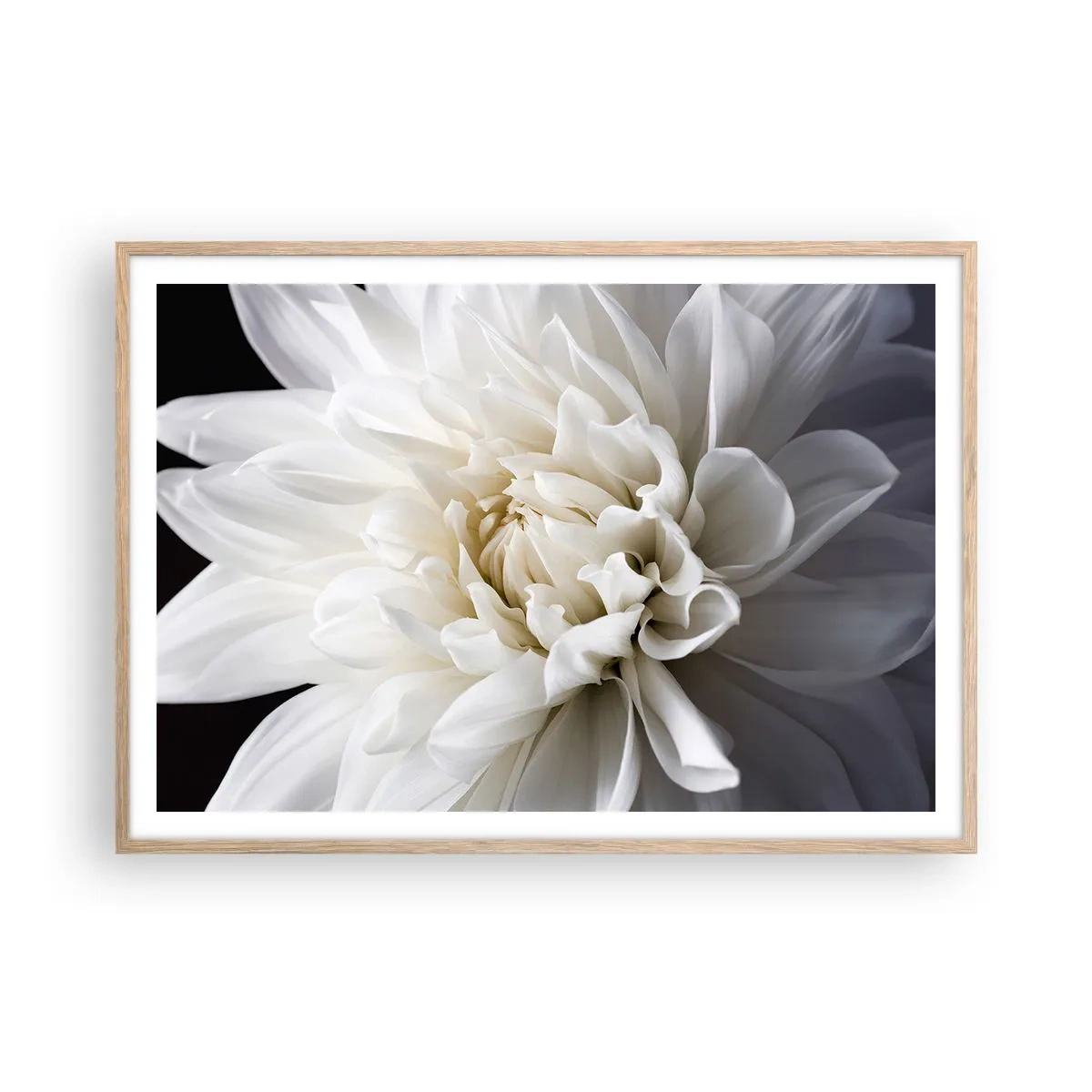 Poster în ramă de stejar deschis - Dimineața miresei - 100x70 cm