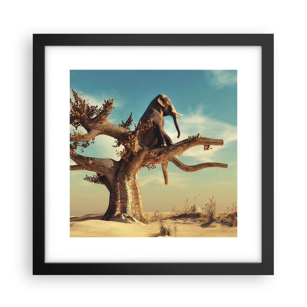 Poster în ramă neagră - Un nou punct de vedere - 30x30 cm