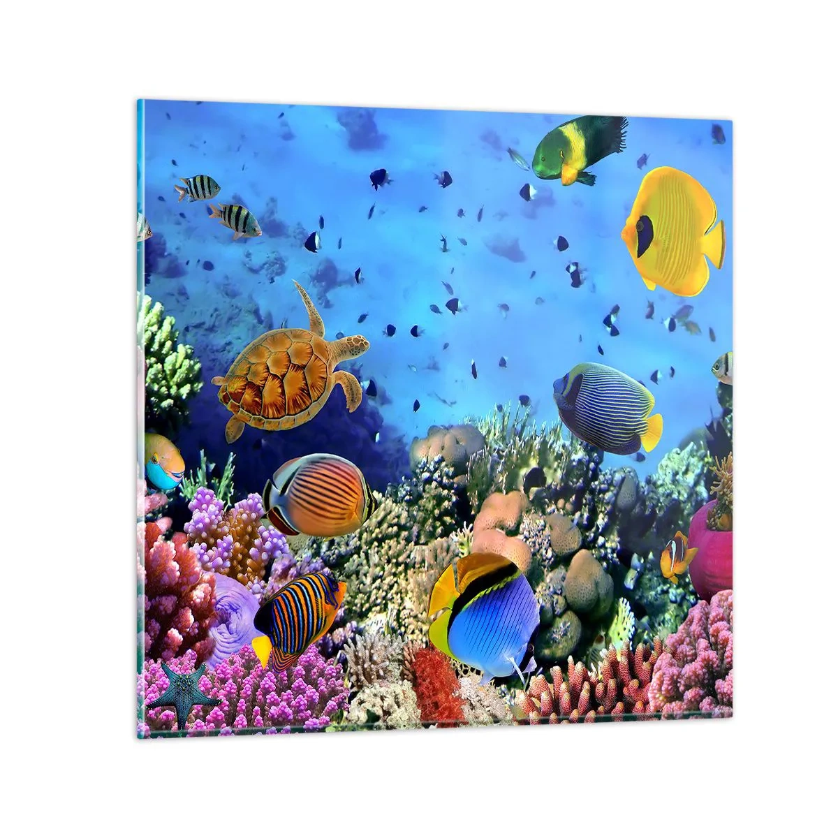 Tablou pe sticlă - Și ce știm noi despre viață... - 70x70 cm