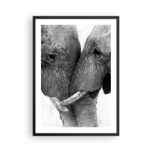Poster în ramă neagră - Prim-plan cu doi elefanți în alb și negru - 50x70cm - Mărturisire din inimă - Decorațiune modernă pentru perete pentru living și dormitor ARTTOR