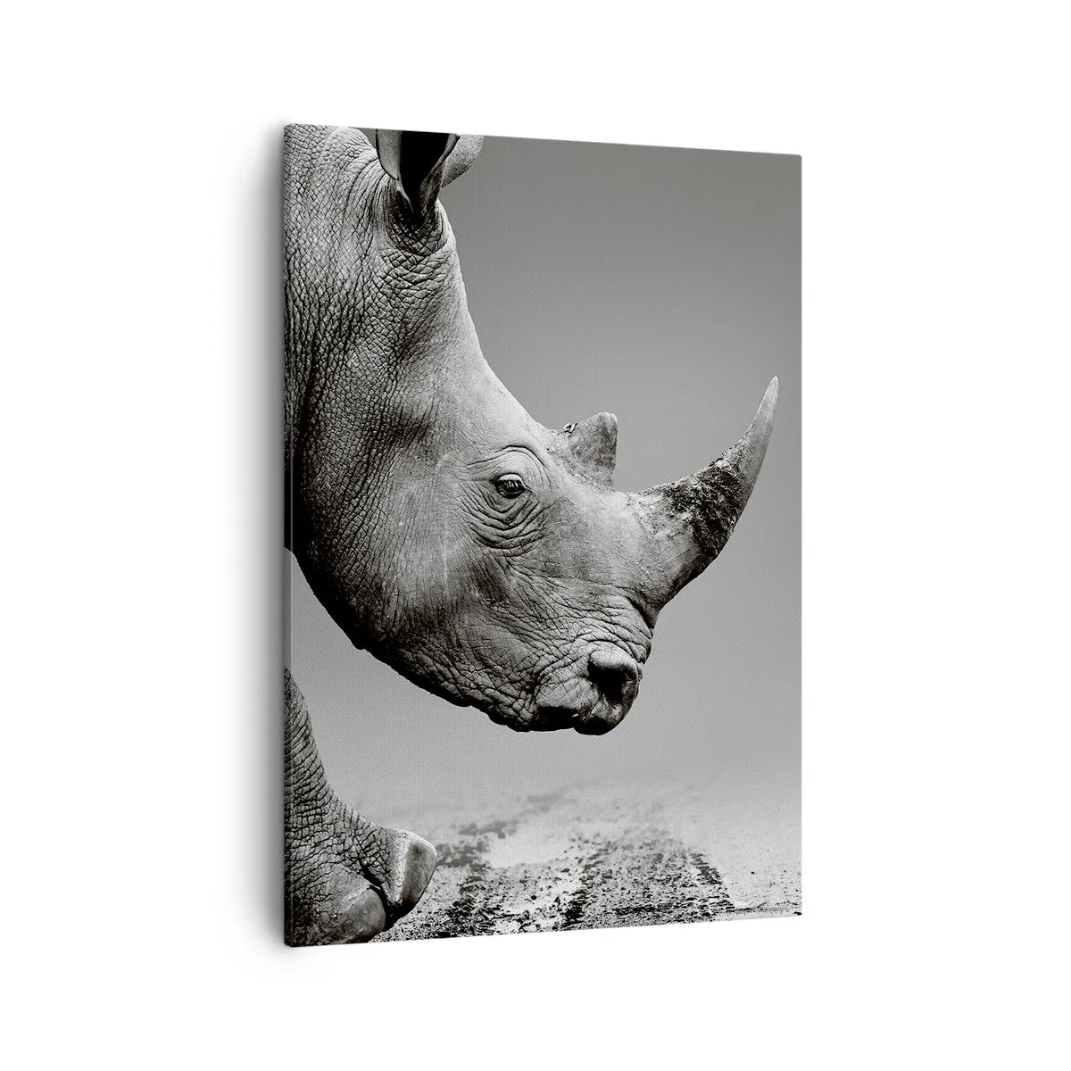 Tablou pe pânză - O forță de neoprit - 50x70 cm