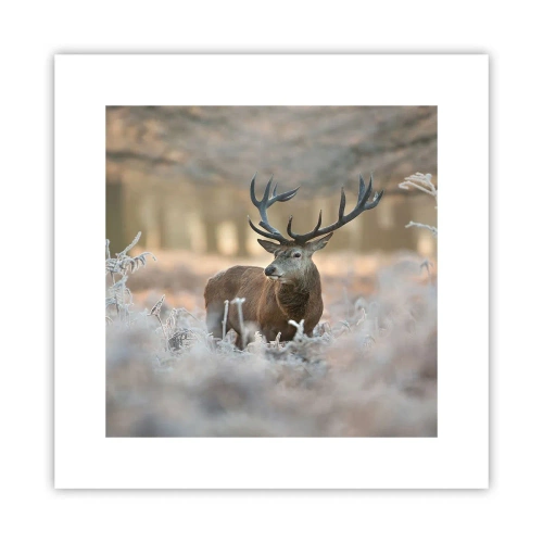 Poster - O dimineață răcoroasă - 30x30 cm