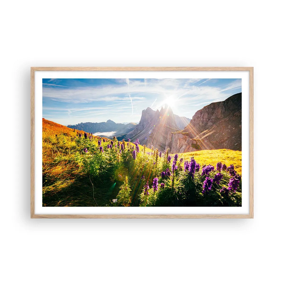 Poster în ramă de stejar deschis - Viața secretă a ierburilor - 91x61 cm