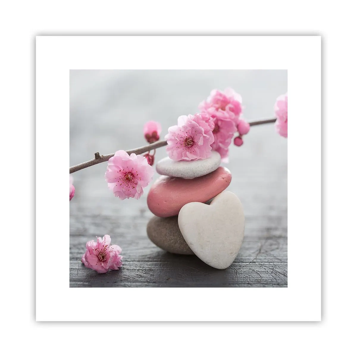 Poster - Fericirea florilor de cireș - 30x30 cm