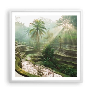 Poster în ramă albă - Crescând la soare - 60x60 cm