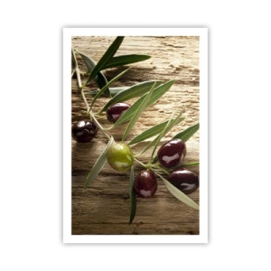 Poster - Direct din natură - 61x91 cm