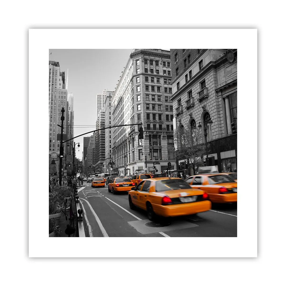 Poster - Soarele marelui oraș - 40x40 cm