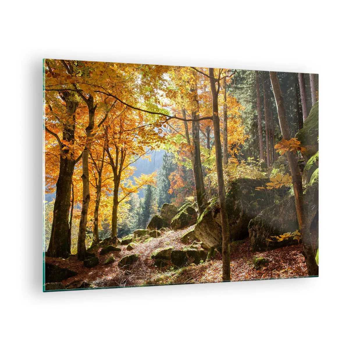Tablou pe sticlă - Pădure de toamnă cu raze de soare și pietre - 70x50cm - Timp de relaxare - Decorațiune modernă pentru perete pentru living și dormitor ARTTOR