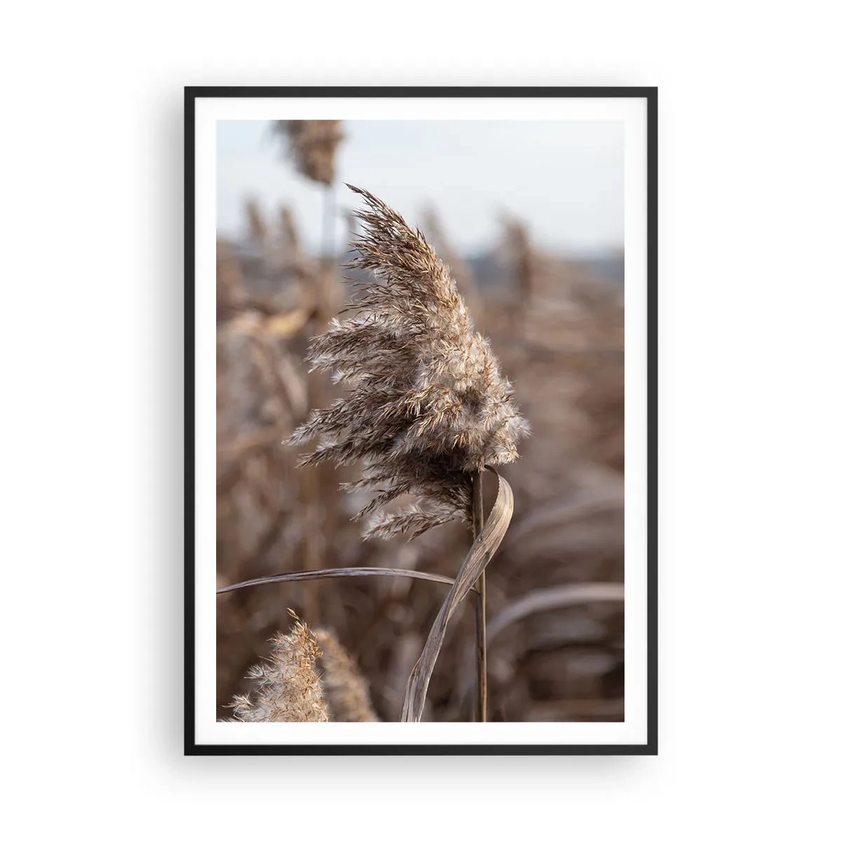Poster în ramă neagră - E timpul să zbori cu vântul - 70x100 cm
