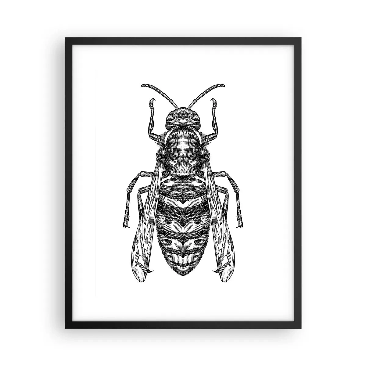 Poster în ramă neagră - De pe o planetă de insecte - 40x50 cm