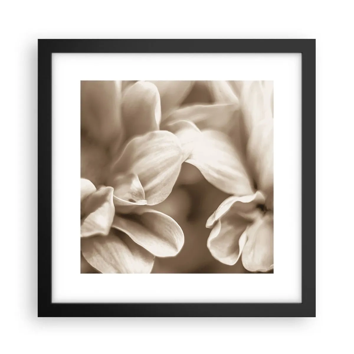 Poster în ramă neagră - Blânde ca un zâmbet - 30x30 cm