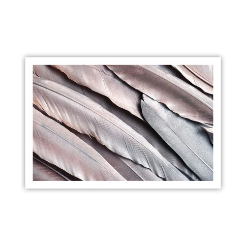 Poster - Argintul roz - 91x61 cm