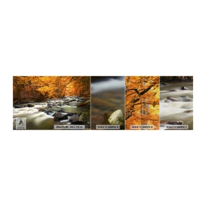 Mostră tapet Premium Sand - Un pârâu într-o pădure de aur - Peisaj, pădure, Pârâu de munte - 100x30 cm