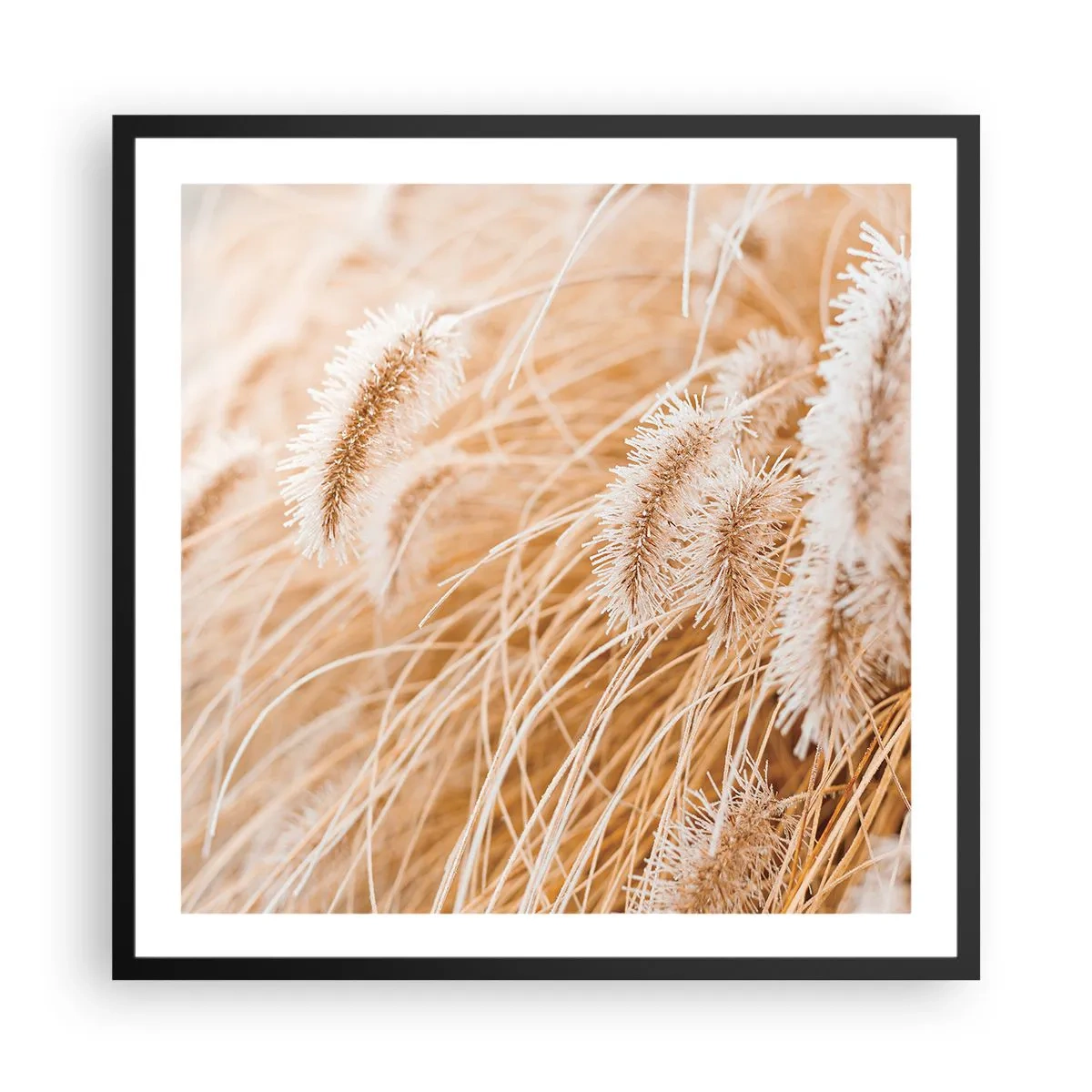 Poster în ramă neagră - Foșnetul auriu al ierburilor - 60x60 cm