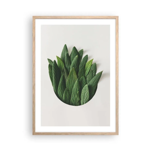 Poster în ramă de stejar deschis - Curiozitatea nestăvilită - 50x70 cm