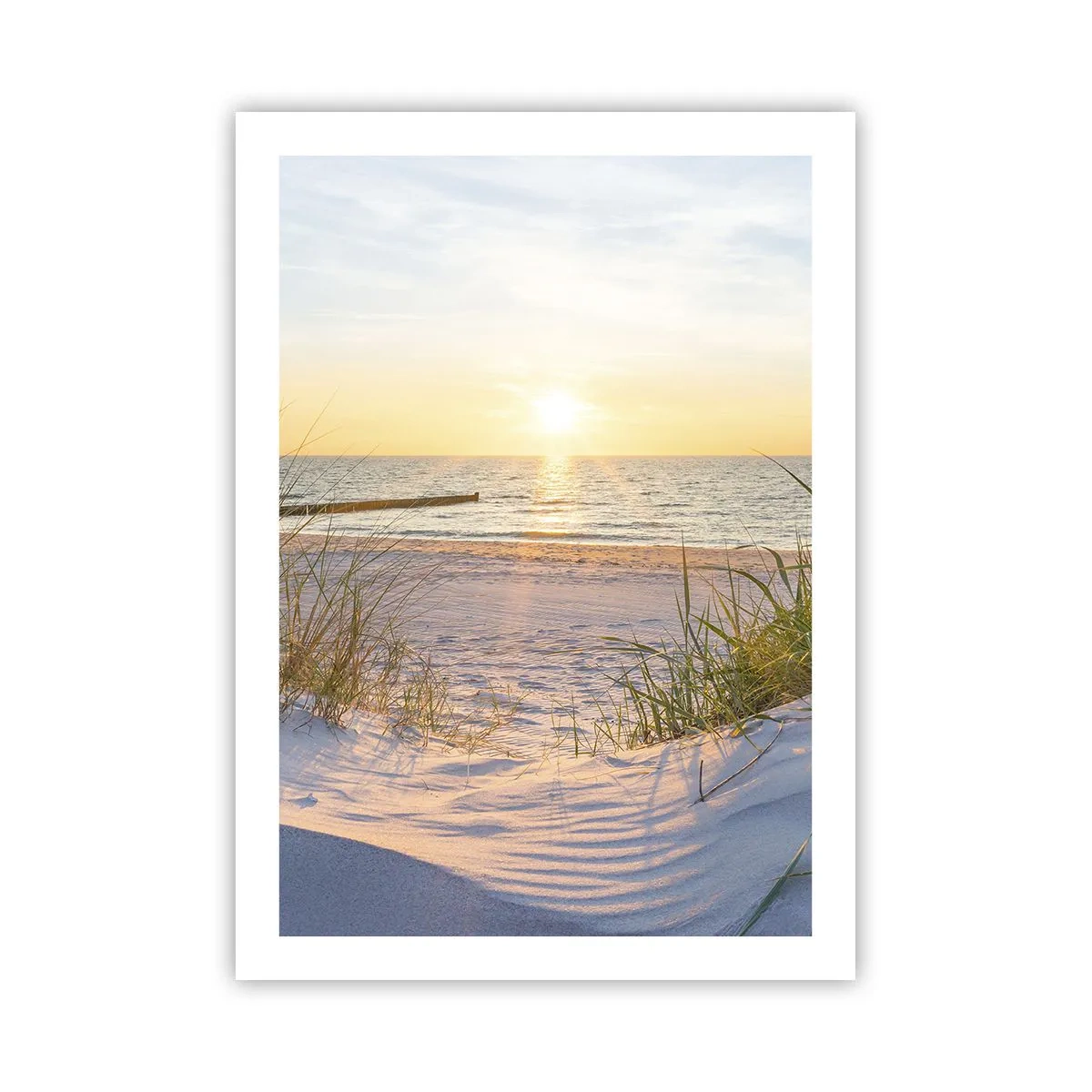 Poster - Zumzet de mare, o plajă sălbatică printre ierburi... - 50x70 cm