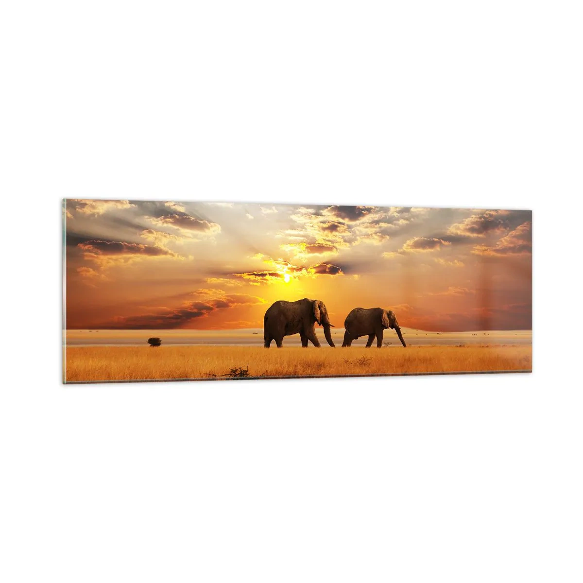 Tablou pe sticlă - Plimbare în familie - 90x30 cm