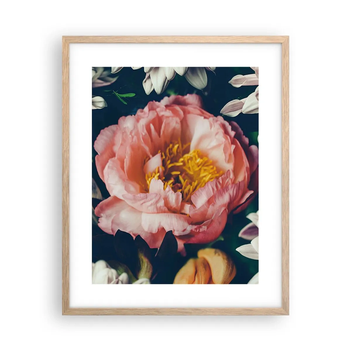 Poster în ramă de stejar deschis - Cu splendoare barocă - 40x50 cm