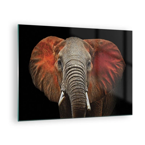 Tablou pe sticlă - Portretul unui elefant maiestuos pe un fundal negru - 70x50cm - Sunt sălbatic, și tu? - Decorațiune modernă pentru perete pentru living și dormitor ARTTOR