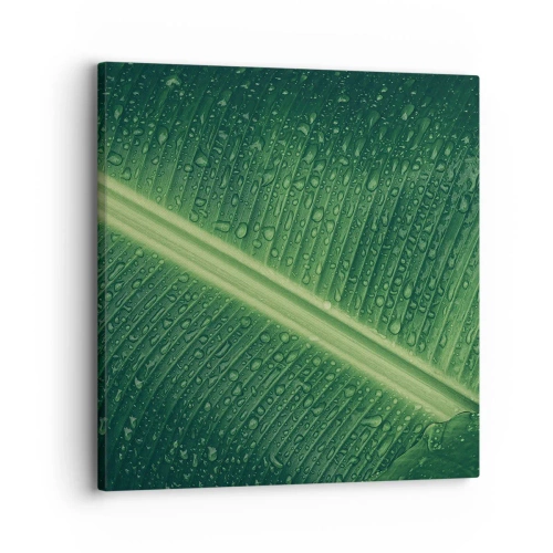 Tablou pe pânză - Structura verdelui - 30x30 cm