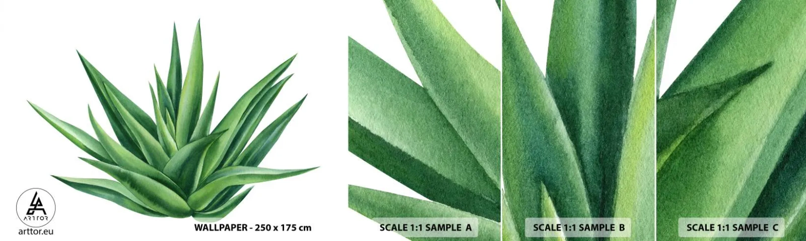Mostră tapet autocolant Deluxe Sticker - Verde - putere - viață - Plantă, Aloe, Botanică - 100x30 cm