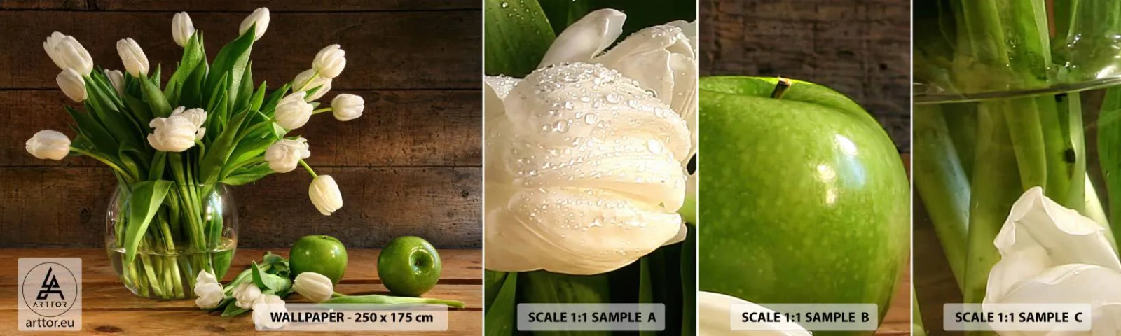 Mostră de Tapet Standard Eco - Suculente și proaspete în verde și alb - Flori, Lalele, Buchet de flori - 100x30 cm