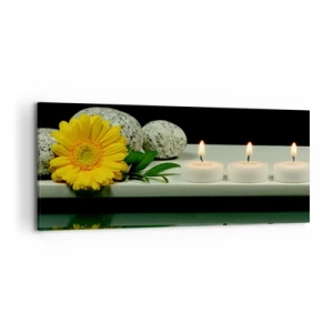 Tablou pe pânză - Calmarea simțurilor - 120x50 cm