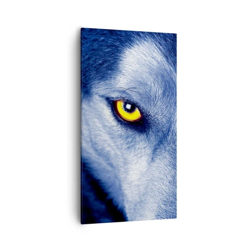 Tablou pe pânză - O privire hipnotizantă - 55x100 cm