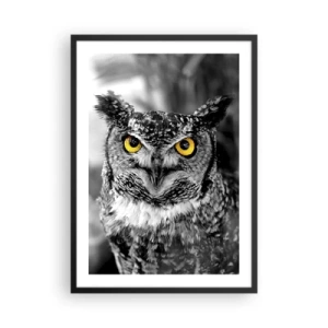Poster în ramă neagră - O bufniță cu ochi galbeni pe un fundal alb-negru - 50x70cm - Nimic nu poate fi ascuns - Decorațiune modernă pentru perete pentru living și dormitor ARTTOR