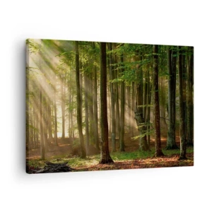 Tablou pe pânză Canvas - Razele soarelui pătrund printre copacii din pădure - 70x50cm - Strălucitoare într-o dimineață de primăvară - Decorațiune modernă pentru perete pentru living și dormitor ARTTOR