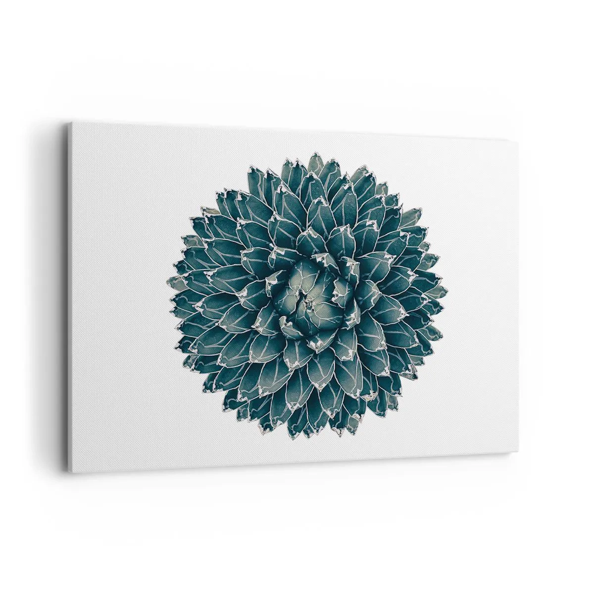 Tablou pe pânză - Steaua deșertului - 100x70 cm