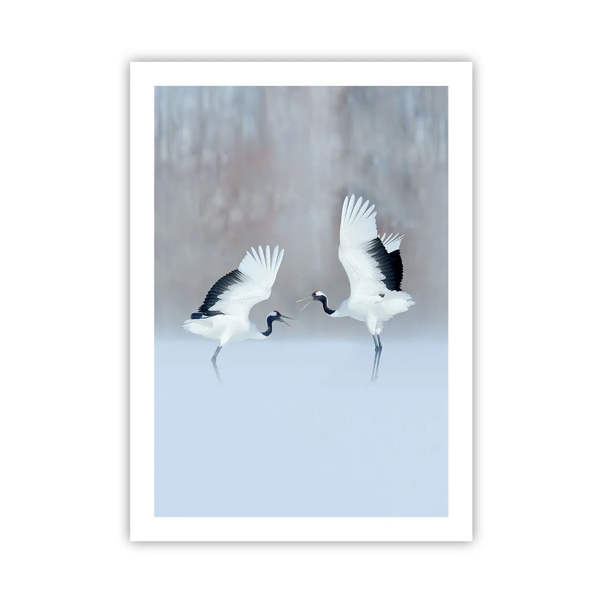 Poster - Dansând în ceață - 50x70 cm