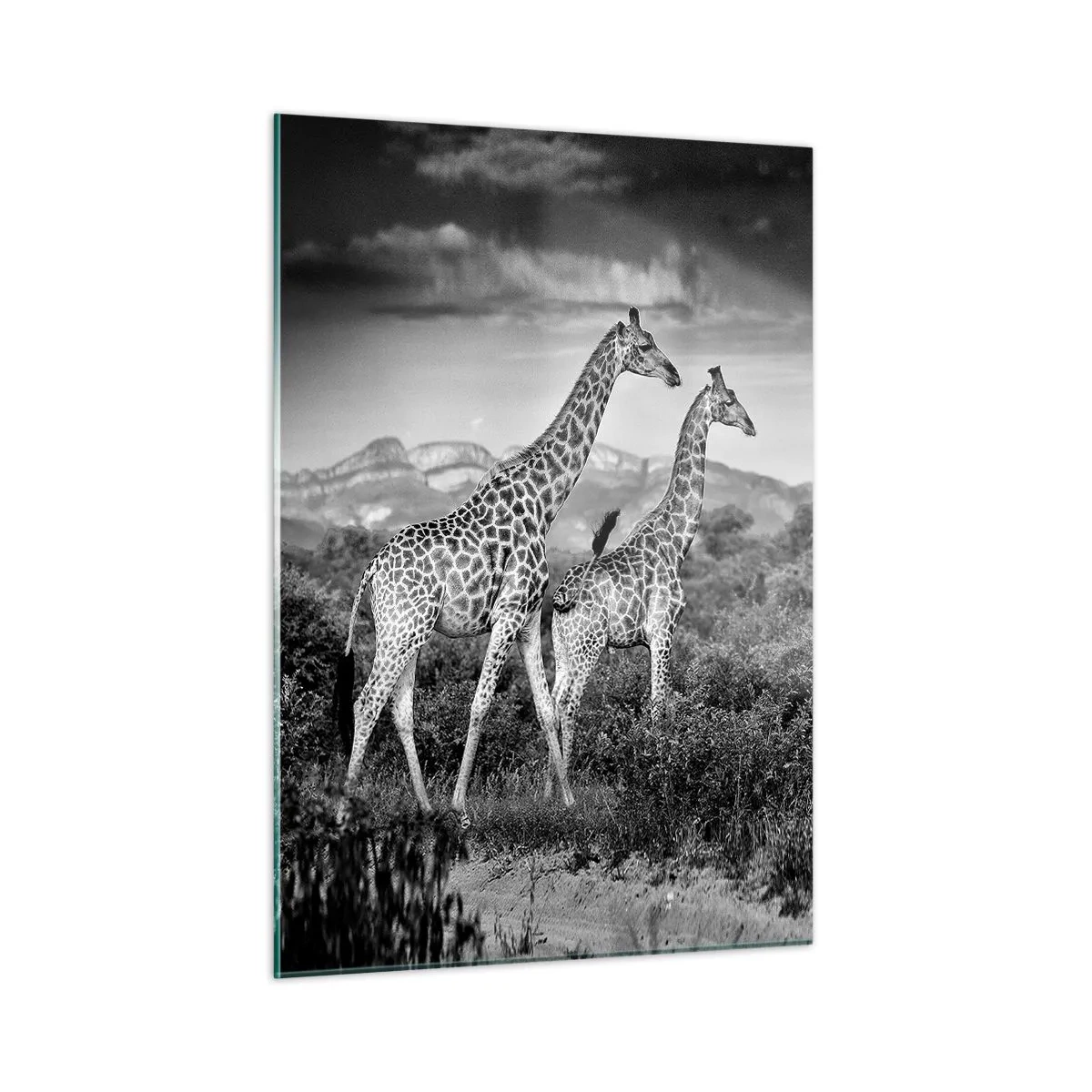 Tablou pe sticlă - Clasele superioare din Africa - 50x70 cm