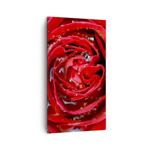 Tablou pe pânză - În picături de rouă - 45x80 cm