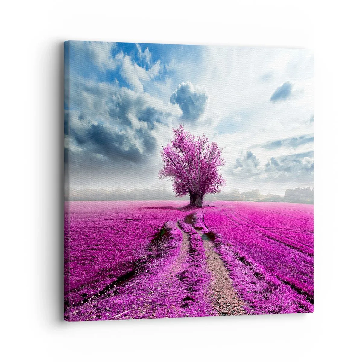 Tablou pe pânză - Câmpul cu iarbă neagră - 30x30 cm