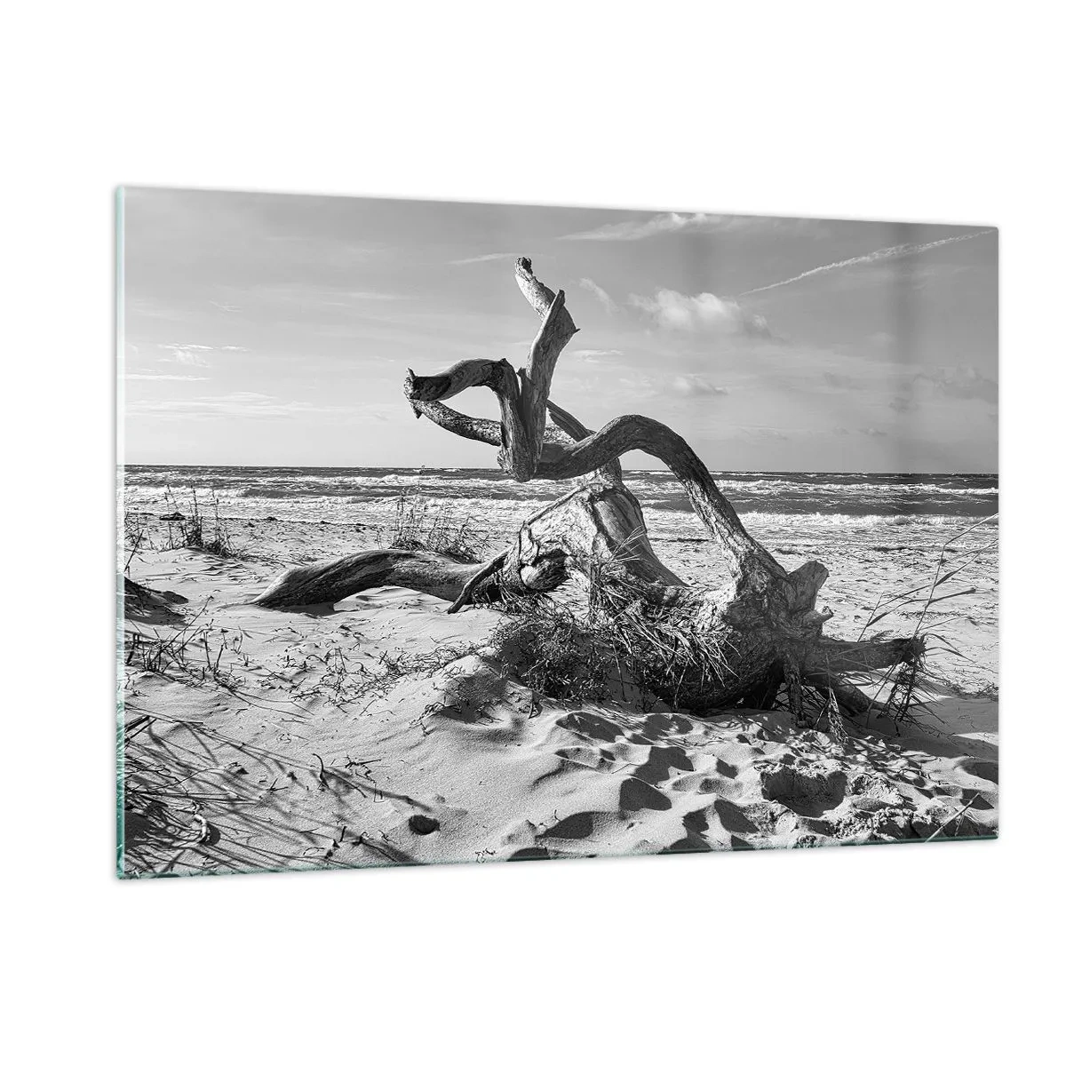 Tablou pe sticlă - Sculptură marină - 120x80 cm